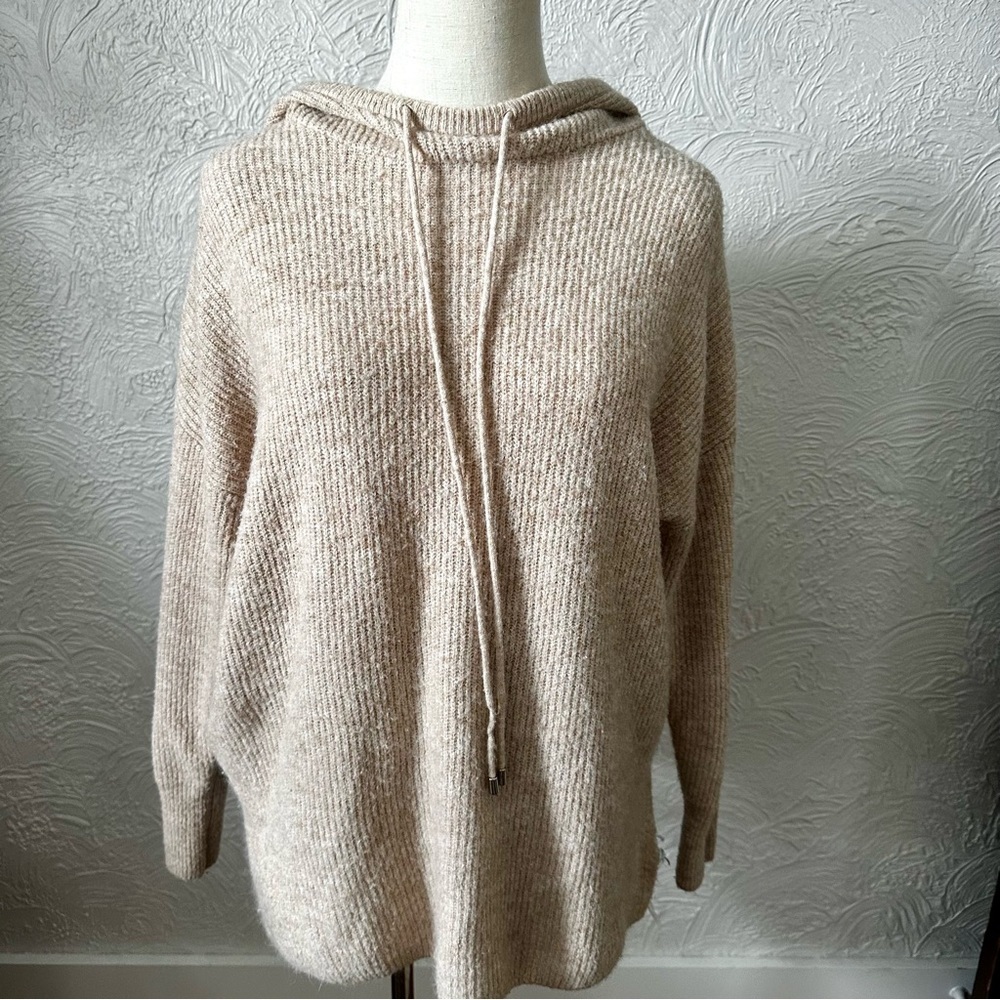 Woolen Bloom Oatmeal Colored Hooded Sweater